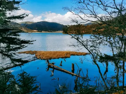 77spins Kazino Mobilā lietotne